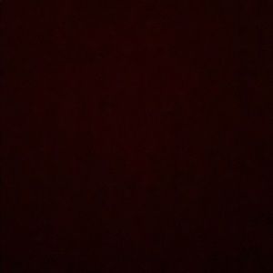 Meet your Posher, Cesar